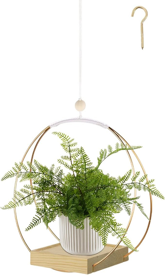Hanging Planter for Indoor Plants, Plant Hanger with Sturdy Wood Base,Modern Boho Macrame Plant Hanger,Wall Ceiling Window Stands(Plants/Pots Not Included)