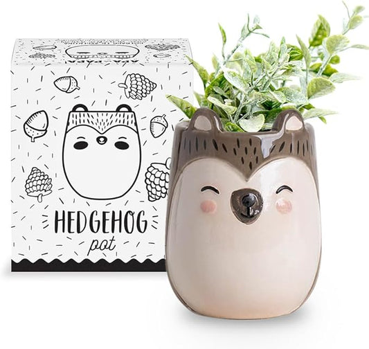 Porcupine Animal Ceramic Planter for Indoor and Outdoors, 3 x 3 x 4 in., Cute Hand Painted Designed in Argentina, Convenient Drain Hole
