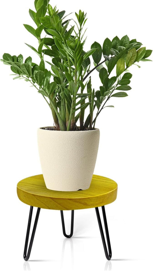 OBTAIN Plant Stand Indoor Outdoor Wood Mid Century Plant Stand for Indoor Plants, Modern Plant Table Round Plant Stool, Boho Rustic Wooden Stool for Plant Pot Hol (L)