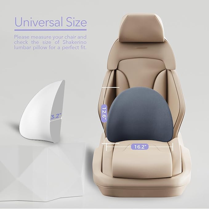 Lumbar Support Pillow for Office Chair - Ergonomic Memory Foam Back Support for Office Chair, Office Chair Back Support Cushion for Back Pain, Ideal Back Support Pillow for Car & Office, Gray