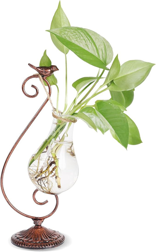 Propagated Plant Vase, Glass Planters for Indoor Plants, with Metal Frame Vintage Pattern Iron Cast Bird, Gifts for Plant Lovers, for Indoor Desktop, Office, Home Decor