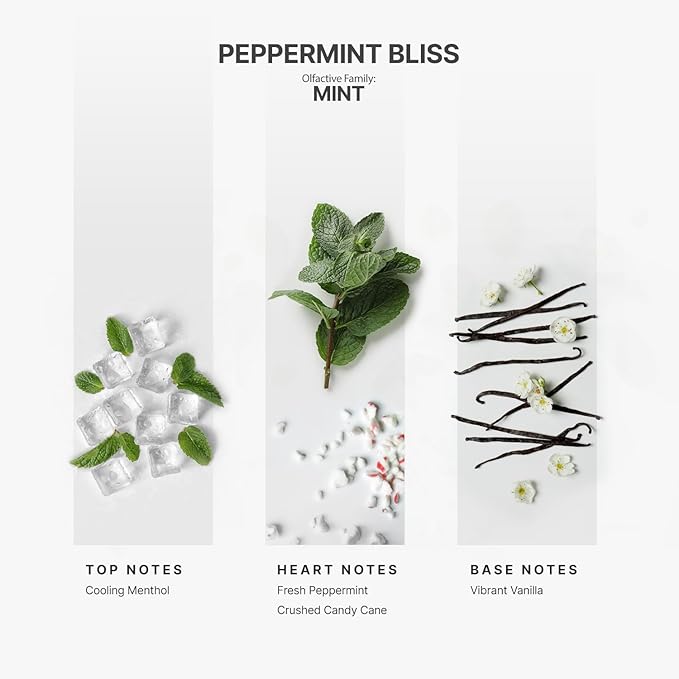 Aromaplan Hotel Scents Peppermint Bliss 5 Fl Oz (148ml), Home Luxury Aroma & Hotel Fragrance Diffuser Oil- Hotel Diffuser Oil for Aromatherapy- USA Made, Bigger Bottle, Bolder Aroma & Longer Lasting