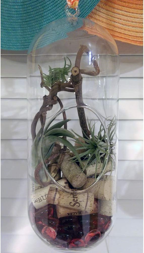 WGV Hanging Glass Plant Terrarium, Width 5", Height 12", Lantern DIY Air Succulent Planter Clear Tea Light Votive Candle Holder, Wedding Event Office Home Outdoor Decor, 1 Piece