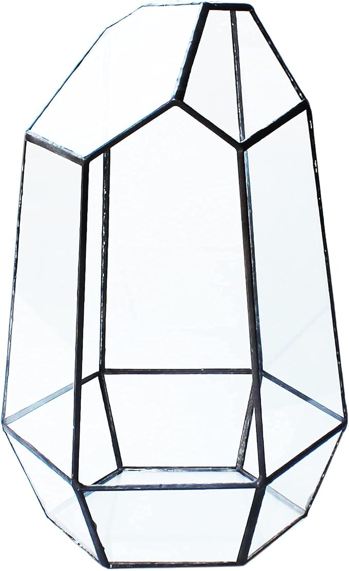 Geometric Glass Terrarium for Indoor Plants,Irregular Clear Planter,Black Opened Container Pot for Cacti,Succulents and Moss,Home Garden Office Tabletop Decor,6.5x5.7x9.8'' No Door