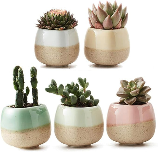 SUN-E 5 in Set 2.2 Inch Container Planter Ceramic Flowing Glaze Five Color Base Serial Set Succulent Plant Pot Cactus Plant Pot Flower Pot Idea