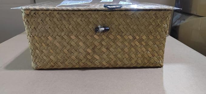 Wicker Storage Basket with Lid, Seagrass Storage Bins with Lids, Rectangular Handwoven Shelf Baskets with Lid for Home Organizer, Rattan Decorative Box for Clothes, Groceries, Snacks (L)