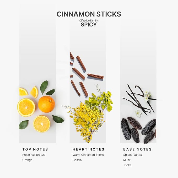 Aromaplan Hotel Scents Cinnamon Sticks 5 Fl Oz (148ml), Luxury Home and Hotel Fragrance Diffuser Oil for Aromatherapy - USA Made, Bigger Bottle, Bolder Aroma & Longer Lasting