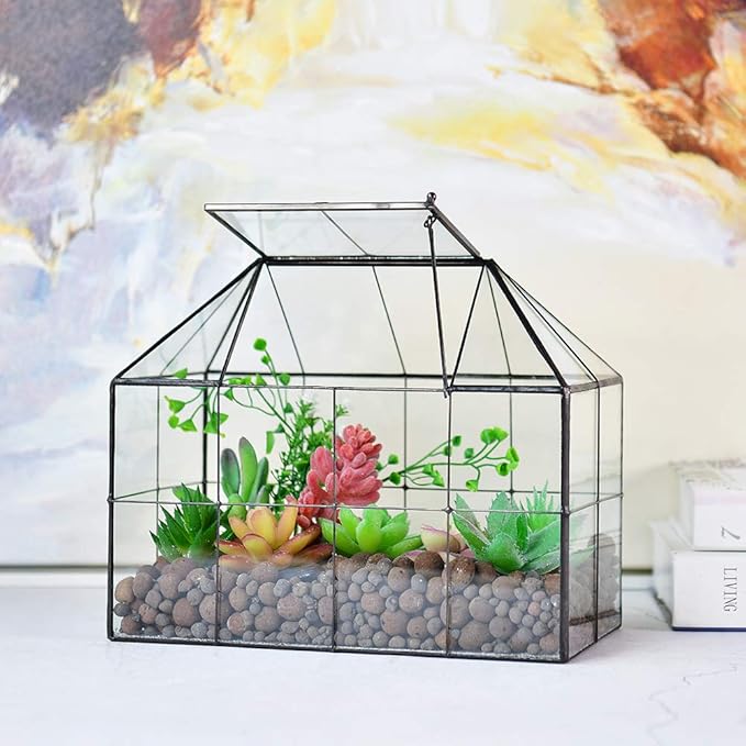 Large Glass Terrarium House Planter – Succulent Plant Terrarium House Shape Glass Greenhouse Terrarium with lid 9.8"X7.9"X5.9" NA