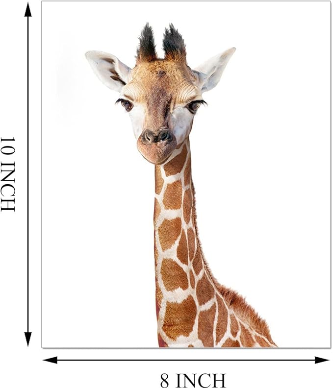 Set of 6 Baby Safari Nursery Wall Decor - Picture Cute Animal Wall Prints on Canvas, under 20 dollars gifts for Baby Boys and Girls Room, UNFRAMED Wall Art(8 x 10 inch)