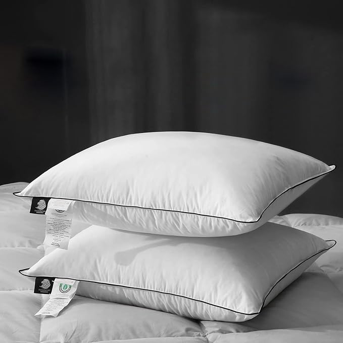 Luxury All Hungarian Goose Down Pillows Queen Size,Soft and Support Down Bed Pillow for Back,Side,Stomach Sleepers,480 Thread Count 100% Cotton Shell,Queen Size Soft Pillow 2 Pack 20"x28"