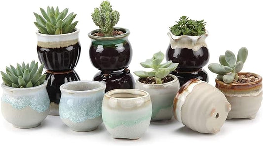 T4U Small Ceramic Succulent Pots with Drainage - Set of 12, Mini Pots for Plants, Home and Office Decor, Plant Lover Gifts for Women