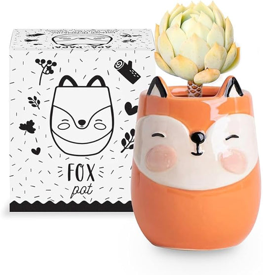 Fox Animal Ceramic Planter for Indoor and Outdoors, 3 x 3 x 4 in., Cute Hand Painted Designed in Argentina, Convenient Drain Hole