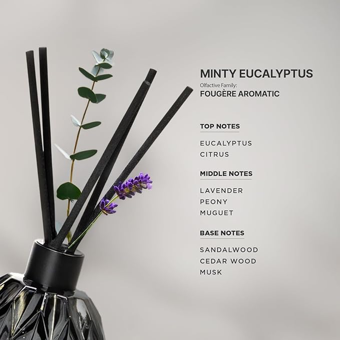 Aromaplan Reed Diffuser, Minty Eucalyptus Scent Diffuser (8.45 fl oz, 250ml)- Luxury Reed Diffusers Set for Home- Includes Reed Diffuser Sticks & Fragrance Oil in Glass Bottle