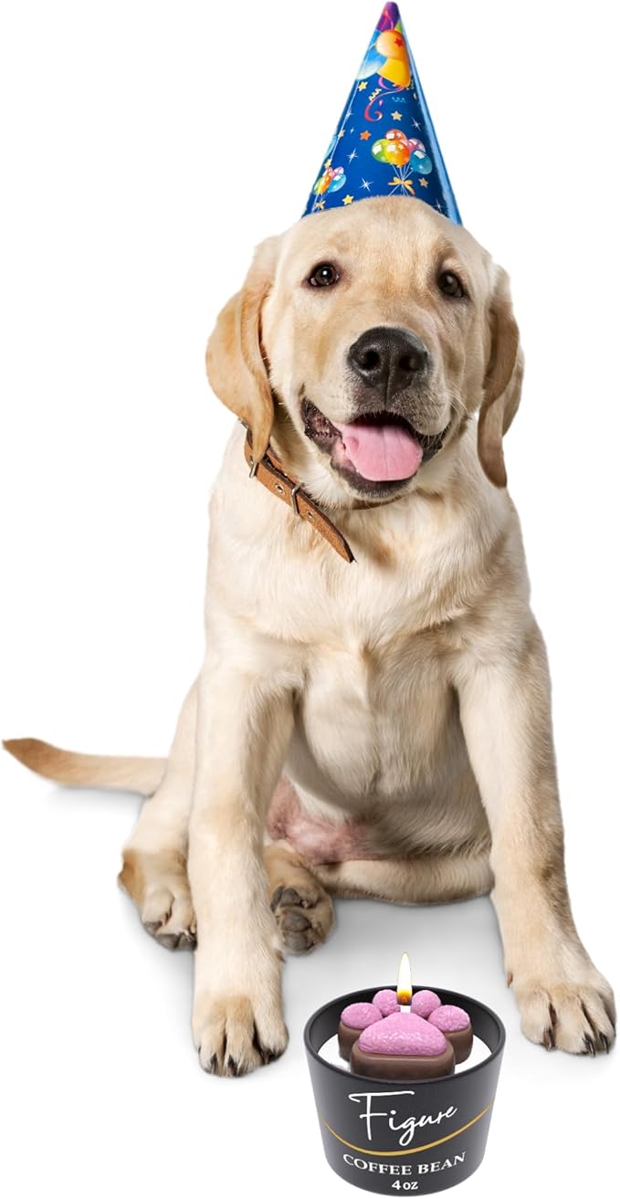 All Natural Scented Candle for Dog & Cat Lovers | Hand-Poured | Beeswax & Organic Soy Wax Blend | 100% Beeswax Wick | Dog Mom's | Pet Birthday | Premium Gift Box Included | Paw Coffee Bean 4 oz