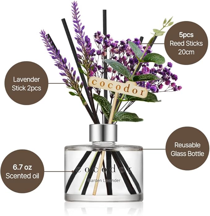 COCODOR Lavender Reed Diffuser/Little Forest / 6.7oz(200ml) / 1 Pack/Home Decor & Office Decor, Fragrance and Gifts