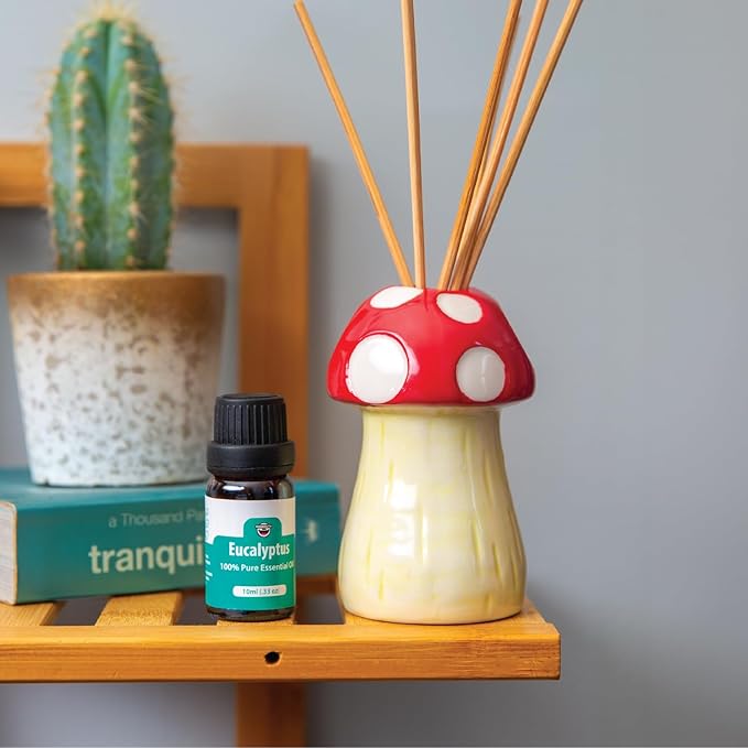 Mushroom Reed Diffuser, Eclectic Shelf Decor for Home Dorm or Apartment, Fragrant Bathroom Air Freshener, Unique Housewarming Gifts