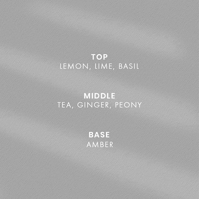 White Tea Reed Diffuser Set - Luxury Fragrance Reed Diffusers for Home, Office & Bathroom Décor - Long-Lasting Scent with Non-Toxic Oils (5.63 oz)