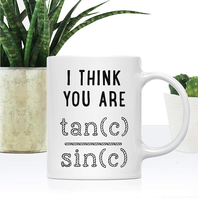 Andaz Press Valentine’s Day Funny 11oz. His Her Couples Coffee Mug Gift, I Think You Are Tan(c) Sin(c), 1-Pack, Gift Box