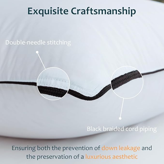 Hungarian Goose Down Pillow Queen Size Set of 2, Ultimate Comfort 750+ Fill Power, 480 Thread Count 100% Cotton Shell, Luxury Bed Pillows for Sleeping - Queen (20" x 28"), 2 Pack