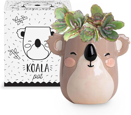 Koala Animal Ceramic Planter for Indoor and Outdoors, 3 x 3 x 4 in., Cute Hand Painted Designed in Argentina, Convenient Drain Hole