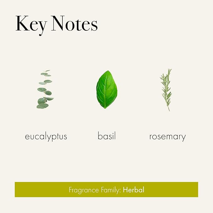 LAFCO New York Reed Diffuser Refill, Rosemary Eucalyptus - 8.4 oz - Up to 4-Month Fragrance Life - Includes Natural Wood Reeds - Free of Dyes & Propellants - Made in the USA