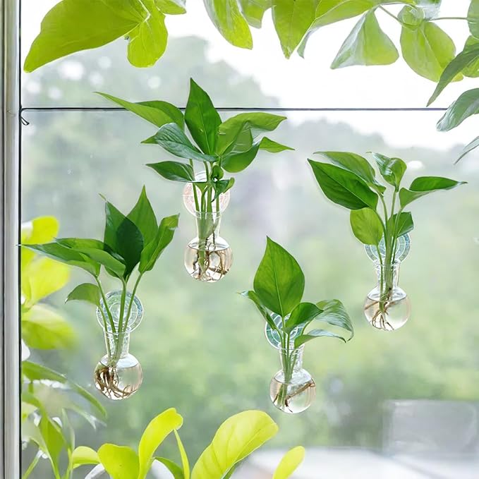 4 pcs Window Propagation Stations, Suction Cup Plastic Plant Propagation Bulbs, Easy to Install Wall Hanging Planter, No Nails Plastic Plant Terrarium Vase