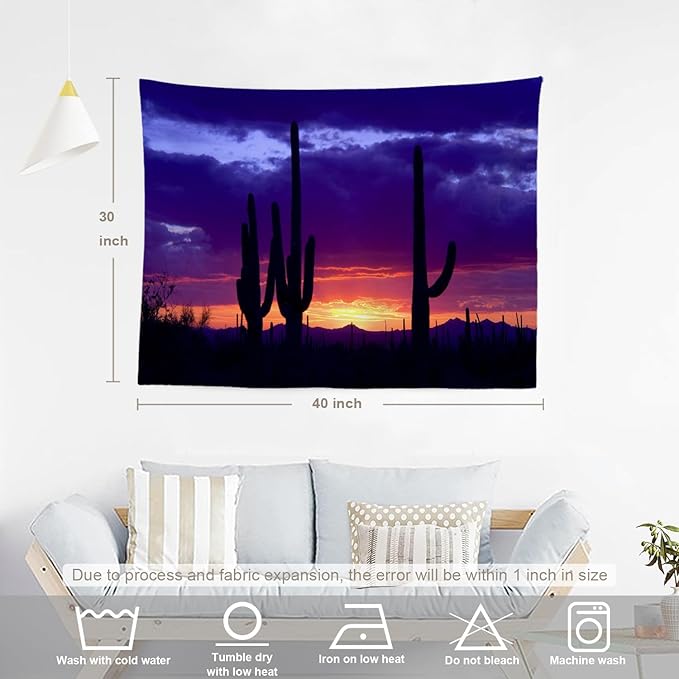BaoNews Purple Nature Sunset Tapestry, Red Western Southwestern Large Wall Hanging Polyester Tablecloths Tapestry Bedroom Room Living Room Dorm 30 X 40 Inches