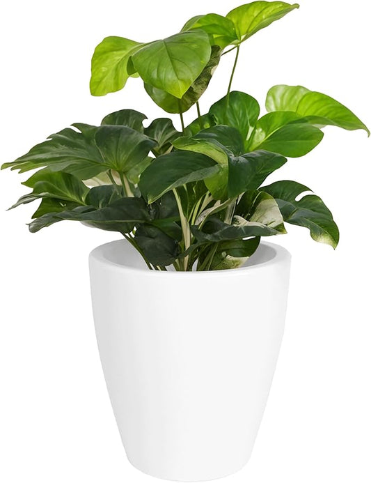 Elly Décor 12 inch Planter for Garden with Drainage, Large Round, Lightweight & Extremely Durable, Deck Indoor/Outdoor Plastic Pot, 12"x12"x7", White