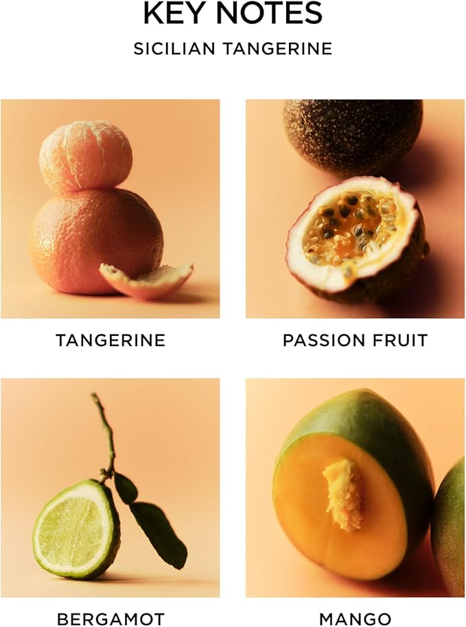 NEST New York Reed Diffuser, Sicilian Tangerine - 5.9 fl oz - Fragrance for Up to 90 Days - Reusable, Refillable Glass Holder - Includes 8 All-Natural Reed Sticks - Flame Free