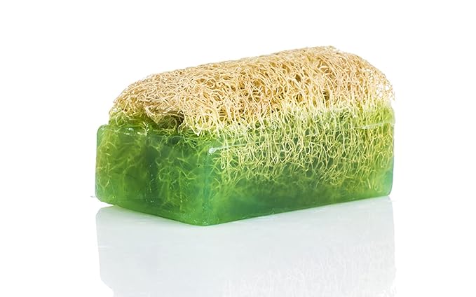 Argan Oil Loofah Soap Bar - Natural Exfoliating Soap with Loofah Inside - Smells Like Bright Floral Citrus - Handmade with Moroccan Argan Oil, Jojoba Oil - Face & Body Scrub Bar [4.4 oz - 125 gr]