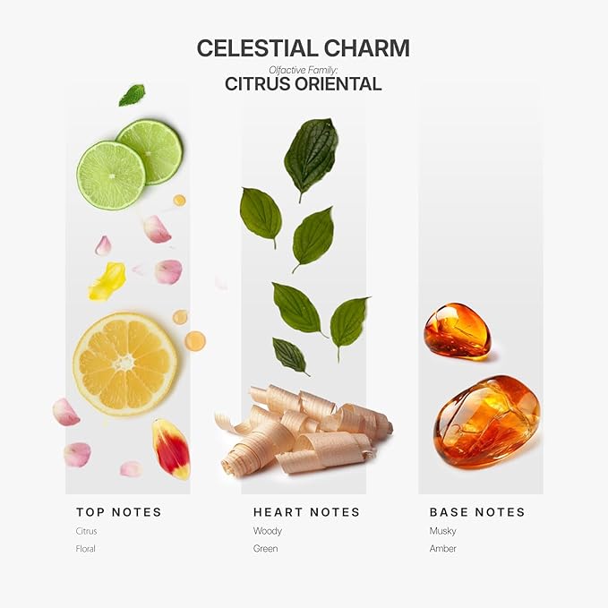 Aromaplan Hotel Scents Celestial Charm 5 Fl Oz (148ml), Home Luxury Aroma & Hotel Fragrance Diffuser Oil- Hotel Diffuser Oil for Aromatherapy- USA Made, Bigger Bottle, Bolder Aroma & Longer Lasting