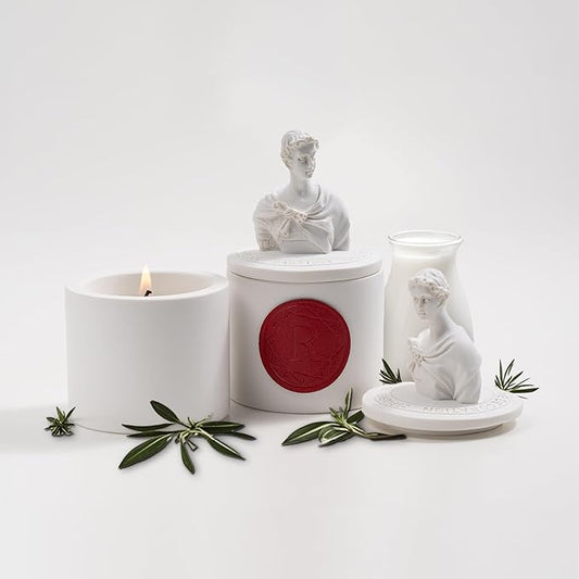 Aromatherapy Soy Jar Candles for Women, Natural Scented Candles Gift - Relaxing Vanilla & Coconut Home Fragrance for Christmas, Birthday, Mother's Day, Holiday Gifts,Scented & Long-Lasting