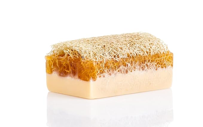 SABUN CO. Donkey Milk Soap with Honey - Natural Exfoliating Loofah Soap Bar - Nourishing, Hydrating, Moisturizing Handmade Soap for Face and Body - Soap with Loofah Inside [4.4 oz - 125 gr]
