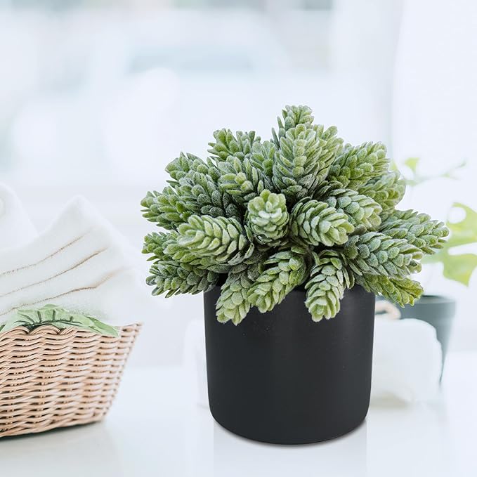 Winlyn Set of 3 Small Artificial Potted Succulent Plants Faux Aloe Hops String of Pearls Succulents in Black Cylinder Pots for Gift Home Office Bathroom Indoor Outdoor Table Shelf Windowsill Décor