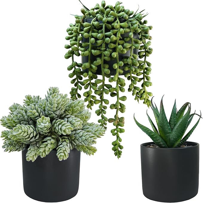Winlyn Set of 3 Small Artificial Potted Succulent Plants Faux Aloe Hops String of Pearls Succulents in Black Cylinder Pots for Gift Home Office Bathroom Indoor Outdoor Table Shelf Windowsill Décor