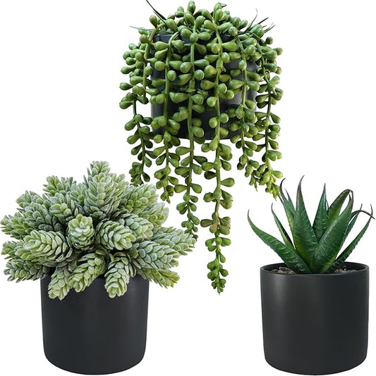 Winlyn Set of 3 Small Artificial Potted Succulent Plants Faux Aloe Hops String of Pearls Succulents in Black Cylinder Pots for Gift Home Office Bathroom Indoor Outdoor Table Shelf Windowsill Décor