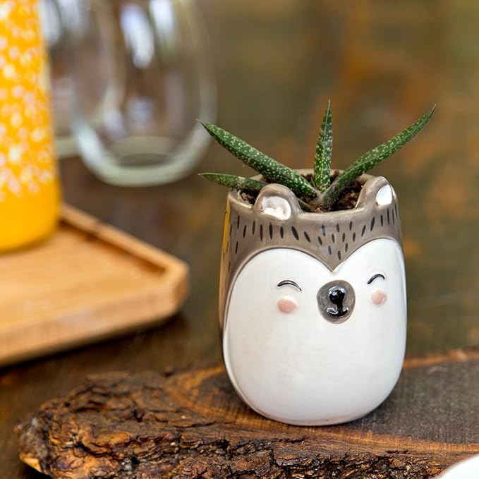 Porcupine Animal Ceramic Planter for Indoor and Outdoors, 3 x 3 x 4 in., Cute Hand Painted Designed in Argentina, Convenient Drain Hole
