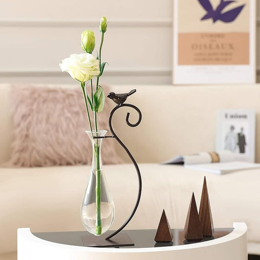 Marbrasse Desktop Glass Planter Hydroponics Vase,Planter Bulb Vase with Holder for Home Decoration,Modern Creative Bird Plant Terrarium Stand, Scindapsus Container (Water Drop Vase)