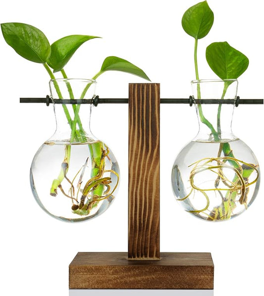 Kingbuy Retro Glass Bulb Vase for Plant Propagation - Hydroponic Planter with Wooden Stand, Indoor Water Propagation Station, Desktop Terrarium Glass Planter for Home Garden Plants (2 Bulb Vases