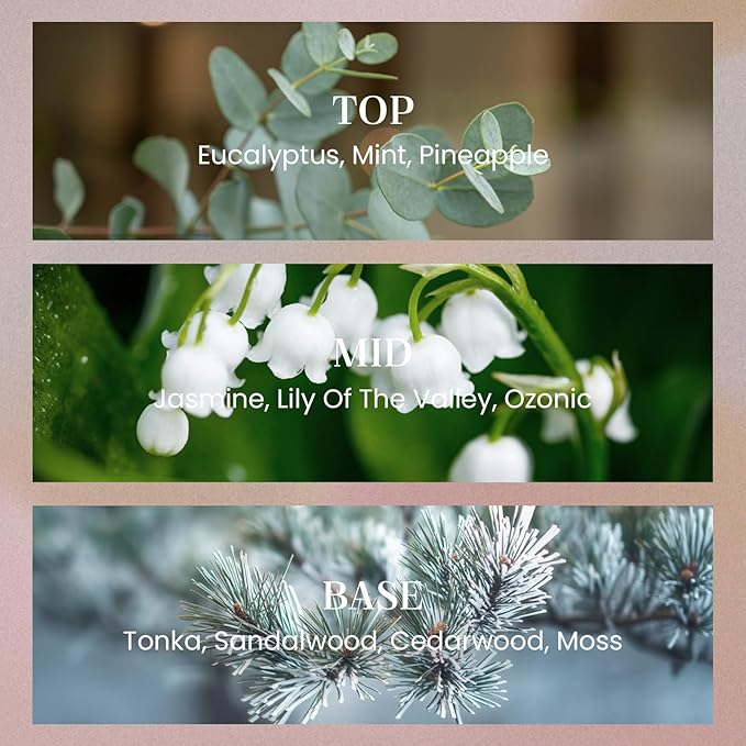 M&SENSE 8.4 oz Large Reed Diffuser for Home | Eucalyptus Mint Scent Oil Diffuser with Sticks | Bedroom Bathroom Living Room Decor