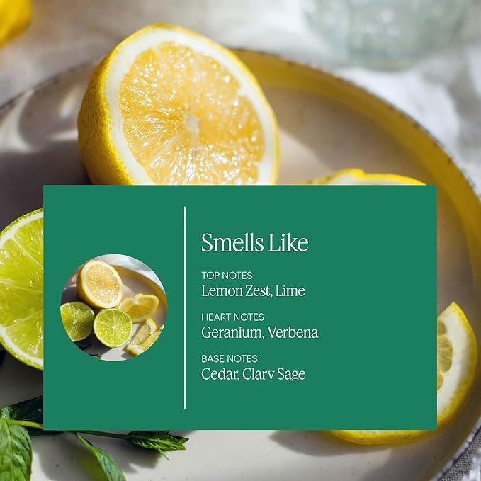 Aera Home Hygiene Citrus and Sage Refill, Clean Formula with Notes of Lemon,Lime and Geranium- Works with Aera Diffusers