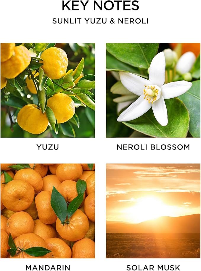 NEST New York Reed Diffuser, Sunlit Yuzu & Neroli - 5.9 fl oz - Fragrance for Up to 90 Days - Reusable, Refillable Glass Holder - Includes 8 All-Natural Reed Sticks - Flame Free