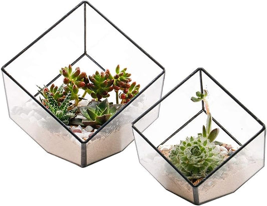 Glass Geometric Plant Terrarium Container, Flower Pot Tabletop Planter Decor Glass Display Box Succulent & Air Planter for Home Garden Office Decoration(Black Cubic Set of 2)
