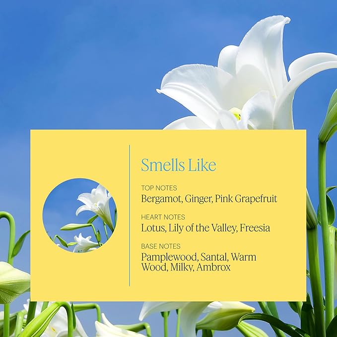 AERA Mini Zephyr - Essential Oil for Home-Simple and Minimal Fragrance - Notes of Lotus Petals Sandalwood and Lily of The Valley - Scent Refill - Capsule Size Works with Mini Diffuser