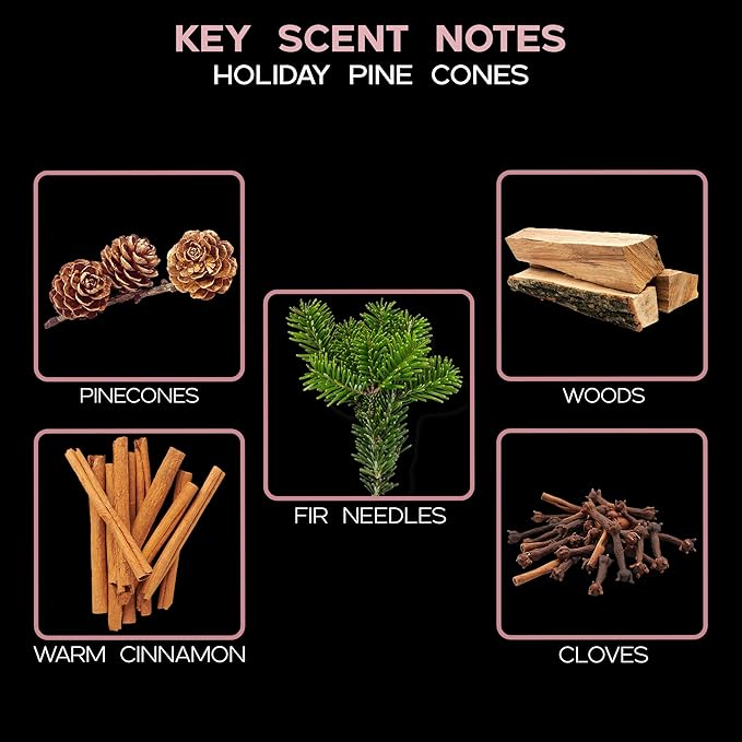 LOVSPA Holiday Cinnamon Pine Cones Reed Diffuser Oil Gift Set | Fir Needles, Cinnamon Sticks, Clove Buds, Sandalwood & Cedarwood | Winter Scent | Modern Striped Glass Bottle | Made in The USA