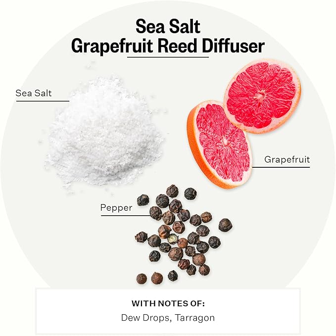 Apotheke Luxury Scented Oil Reed Diffuser for Home (Sea Salt Grapefruit) - Home Fragrance Diffuser Set with Sticks