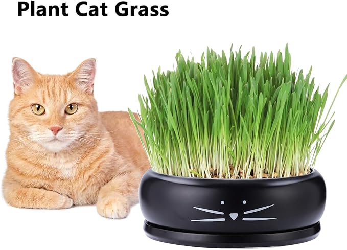 Koolkatkoo 8 Inch Cat Ceramic Succulent Planter Pot with Drainage Hole and Tray Flower Pot for Indoor and Outdoor Plants Round Shallow Planter Gifts for Cat Lovers Black