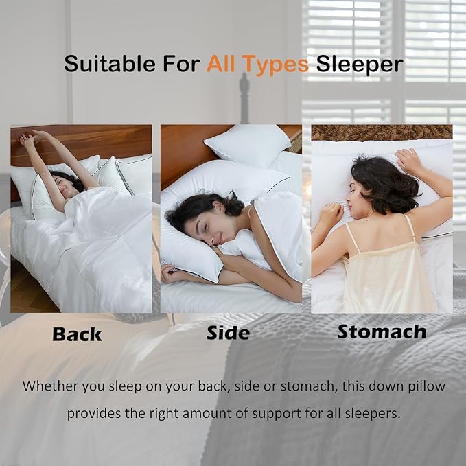 Luxury All Hungarian Goose Down Pillows Queen Size,Soft and Support Down Bed Pillow for Back,Side,Stomach Sleepers,480 Thread Count 100% Cotton Shell,Queen Size Soft Pillow 2 Pack 20"x28"