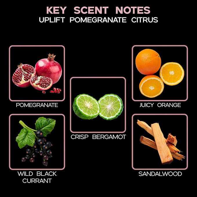 LOVSPA Uplift Pomegranate & Citrus Essential Oil Aromatherapy Reed Diffuser Set - Scented Reed Sticks - Juicy Orange, Bergamot, Black Currant & Sandalwood w/Real Orange Slices