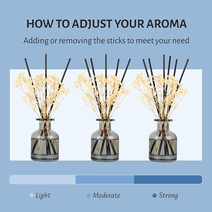 Brakula 2 Pack Reed Diffuser, Bamboo + Eucalyptus & Wild Mint (3.38 fl oz Each Pack), Home Fragrance with 12 Sticks, Shelf Decor, Reed diffusers for Home